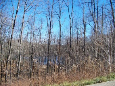 Lot 15 Overlook Dr Gleason, WI 54435