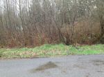 21118 Howard Ave NE Lot: 2 Kingston, WA 98346 - Image 341277