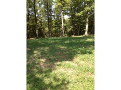 Woodland Hills Dr Walnut Shade, MO 65673