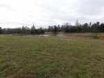 451 Red River Road Fox, AR 72051 - Image 1901225