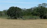 0 CR 133 Giddings, TX 78942 - Image 52453