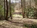 Whispering Winds Way Marble, NC 28905 - Image 1671424
