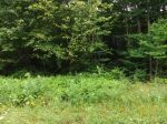 14 Sunrise Drive Lot 14 Laporte, PA 18626 - Image 233947