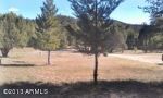 256 N RIFLE BARREL Road Young, AZ 85554 - Image 1689152