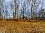 LOT #6 ELK MOUNTAIN SCENIC HWY Asheville, NC 28804 - Image 1133640