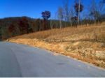 Tr 48 Homestead Drive Unicoi, TN 37692 - Image 233237