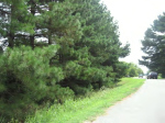 1402 Main St Scranton, AR 72863 - Image 272501