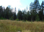 Nna Camp Nine Rd Bonners Ferry, ID 83805 - Image 284559