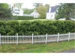 31 Cushing Street Winterport, ME 04496 - Image 1589035