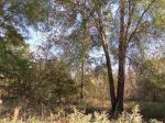 SE River Road Lee, FL 32059 - Image 233675