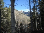 140 S Silver Street Rico, CO 81332 - Image 1324827