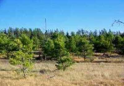 Lot 3 Highway Y Gordon, WI 54838