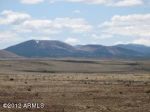 lot 107 Concho Lake -- Concho, AZ 85924 - Image 1889621