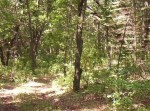 3111 Welch Rd Ionia, MI 48846 - Image 176603