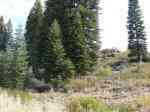 Top At Hilltop - Lot7 - 10601 Aspenwood Road Truckee, CA 96161 - Image 409861