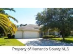 12032 SAPPHIRE DR Spring Hill, FL 34609 - Image 286111