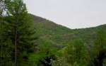 Bearmeat Spur 13.5ac Hiawassee, GA 30546 - Image 176501