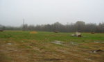 Lot 2 Ethridge Rd Whitakers, NC 27891 - Image 145449