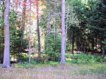 Lot #15 Commerce Loop Eagle River, WI 54521 - Image 1285015