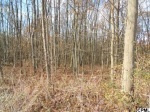 Lot 1 Zeiders Road Millerstown, PA 17062 - Image 349755