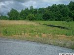 COUNTY ROAD 743 Scottsboro, AL 35768 - Image 291629