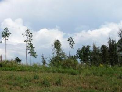 Lot 5 The Hills Dr. Carriere, MS 39457