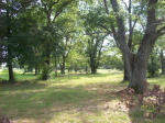 124 Jerusalem, AR 72080 - Image 303623