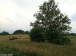 DIPARMA LOT 1 LN Fairplay, MD 21733 - Image 1238356