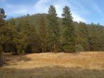 4282 TRIANGLE Road Mariposa, CA 95338 - Image 1073060