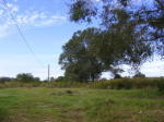 Simmons Rd Loranger, LA 70446 - Image 1133964