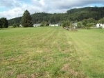 10 Monroe Ct Lot: 10 Cathlamet, WA 98612 - Image 1134472