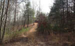 Lot Tract B-2 - Brook Lane Mineral Bluff, GA 30559 - Image 300755